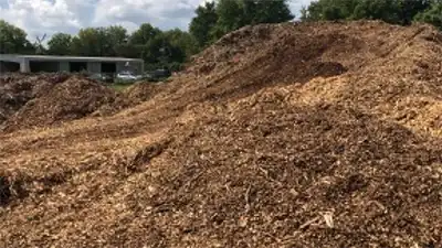 forestry mulching service in oklahoma