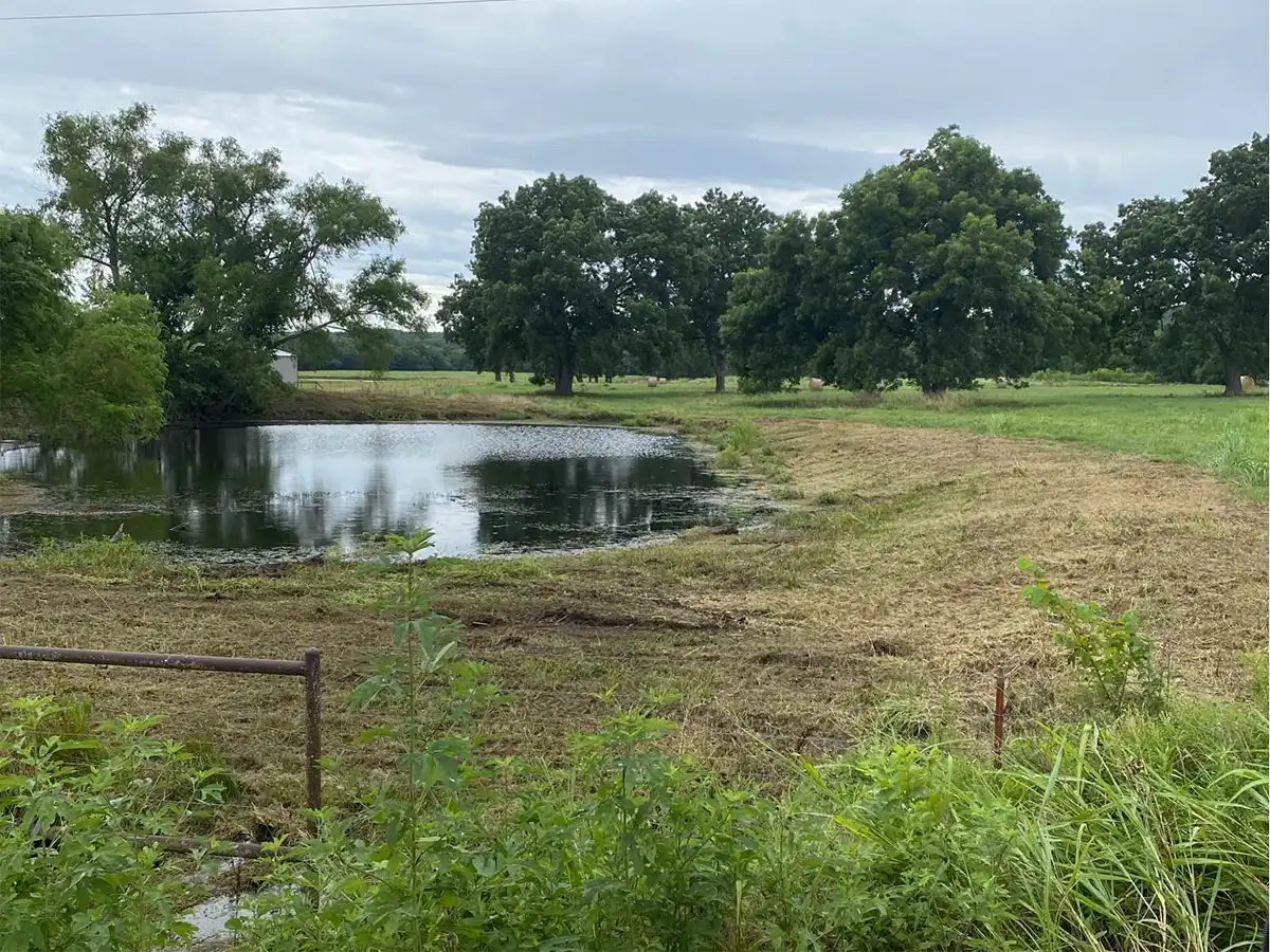 pond restoration service